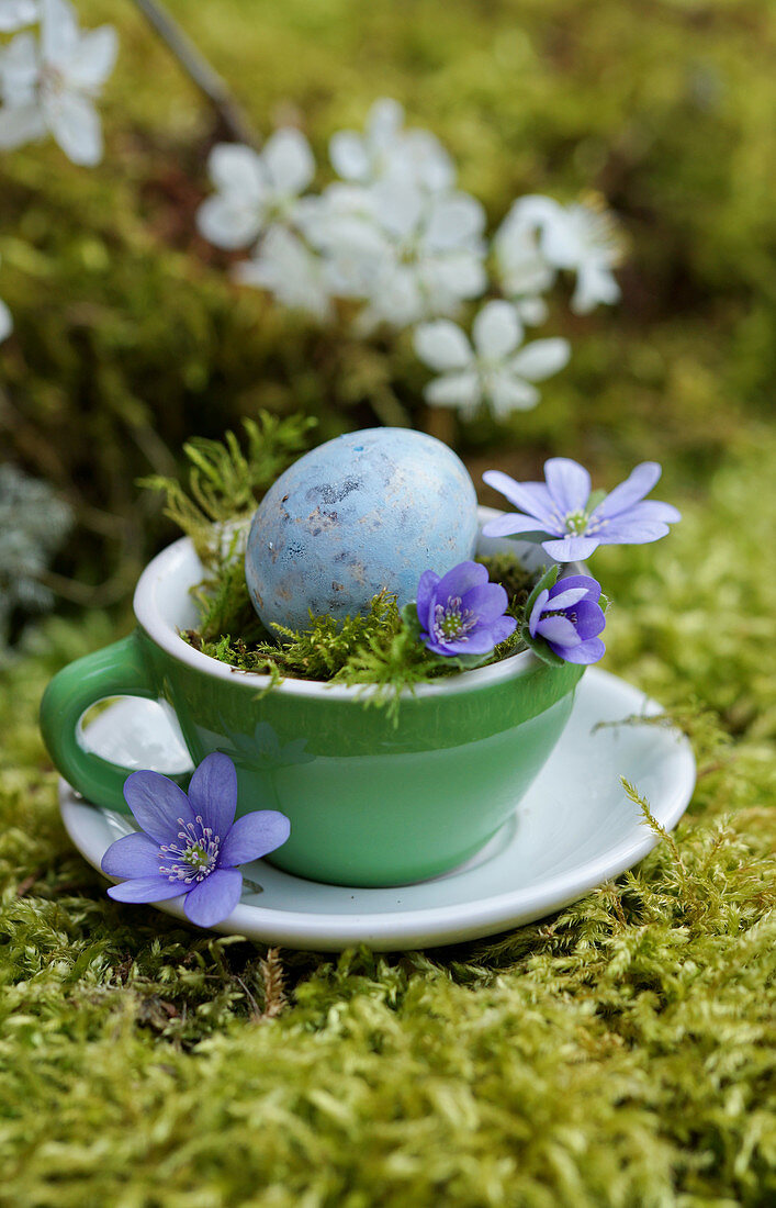Blaues Wachtelei mit Leberblümchen und Moos in Espressotasse
