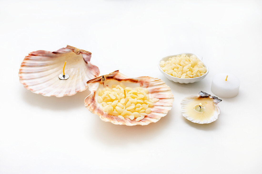 Steps of making tealights in scallop shells