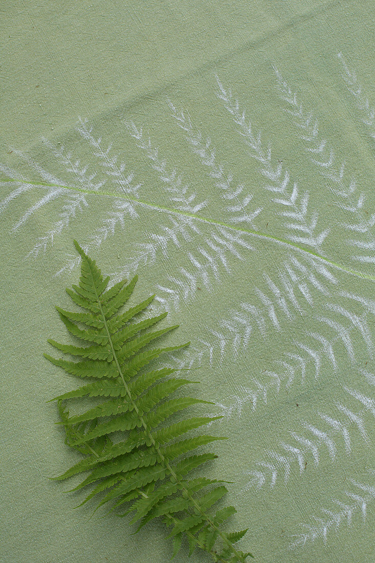 Tablecloth hand-decorated with fern motifs