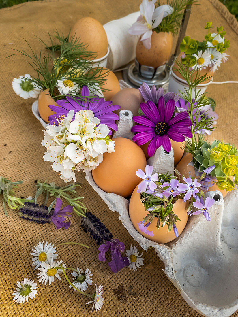 Flowers in eggshells