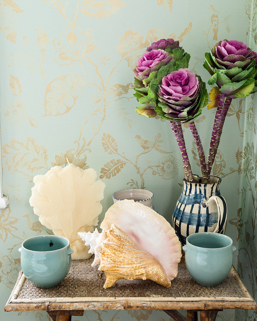Arrangement of ornamental cabbages, seashells and beakers