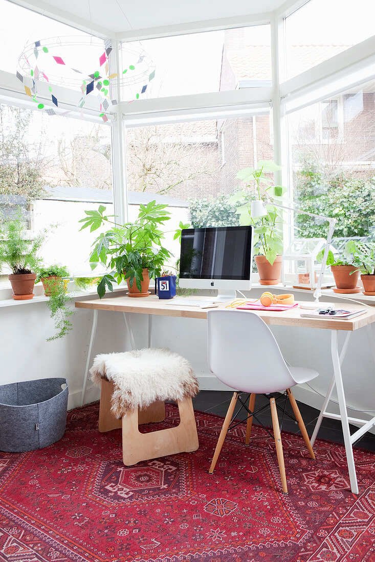 Schreibtisch im Erker mit vielen Pflanzen und rotem Teppich