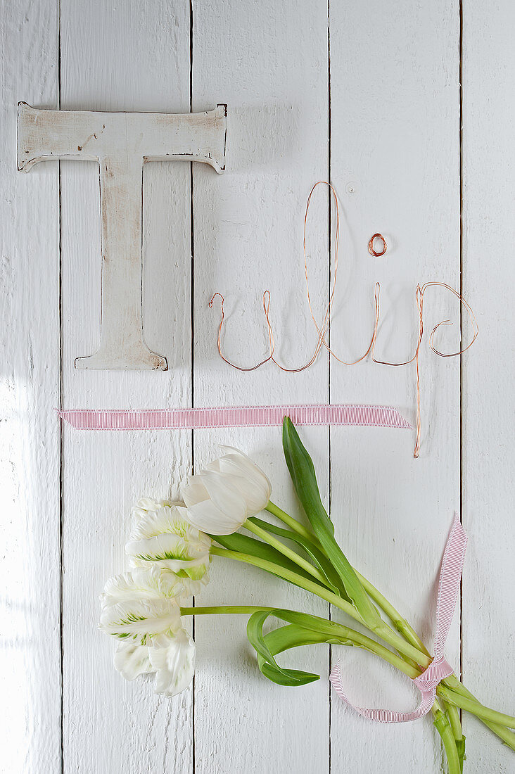 Weißen Tulpen und Schriftzug 'Tulip' an Holzwand