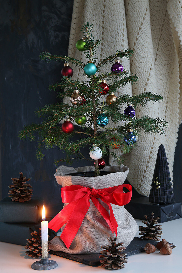 Kleiner Weihnachtsbaum in einem Stoffsack mit Kerze und Zapfen