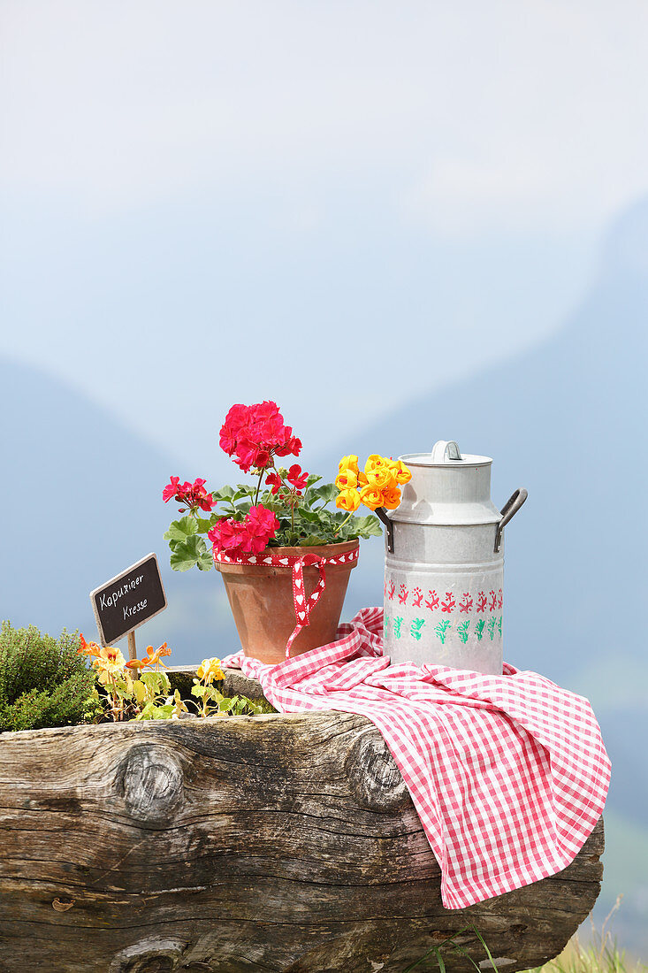 Milk churn and potted geranium on wooden trough in the Alps