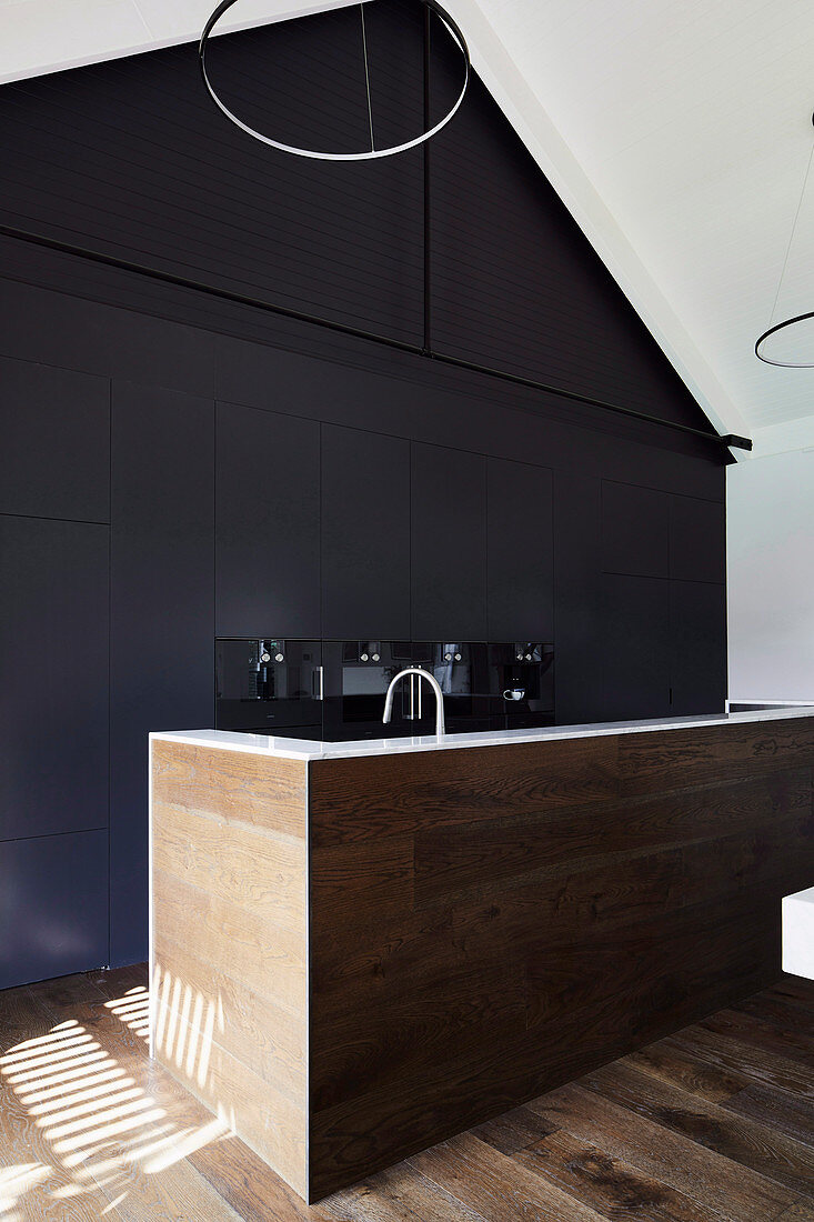 Modern kitchen with black built-in cupboards and dark wood