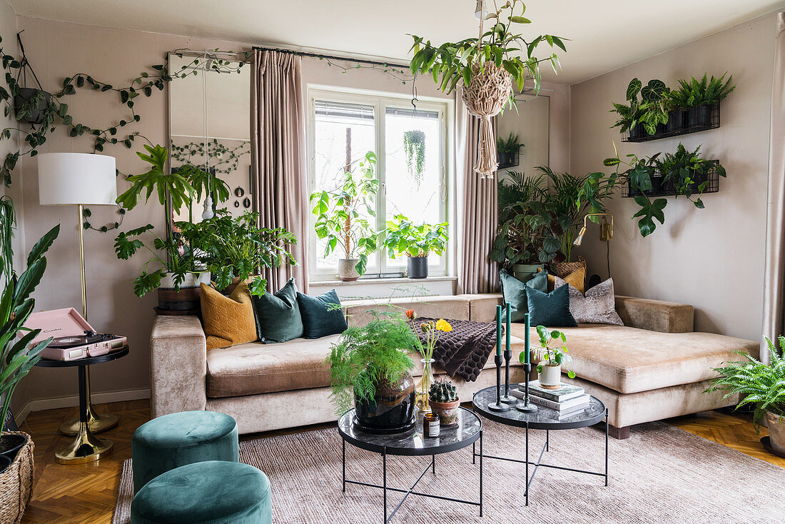 Glamouröses Wohnzimmer voller Zimmerpflanzen