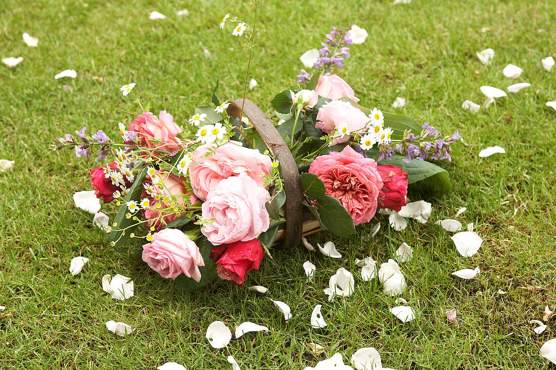 Sussex-Trug mit Rosenblüten, Kamille und Salbeiblüten im Gras