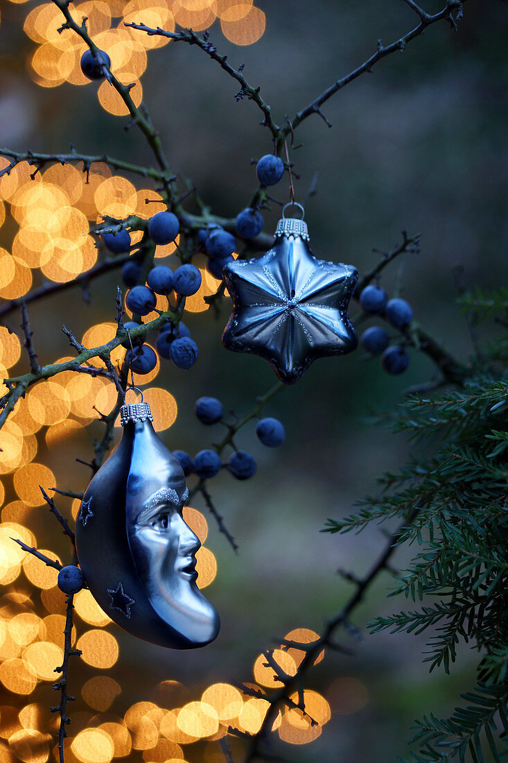 Christmas decorations hanging from blackthorn branch