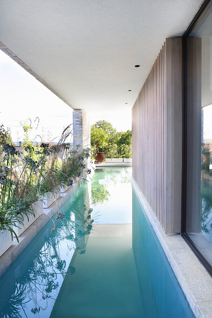 Long, narrow swimming pool along wall of modern, architect-designed house