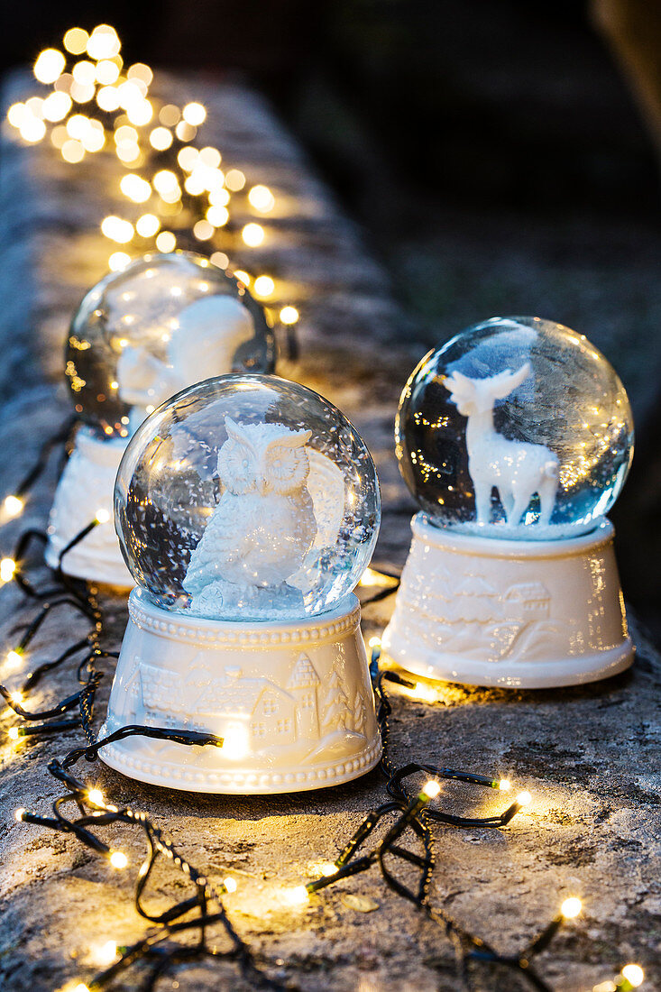 Snow globes with white animal figurines and fairy lights on top of wall