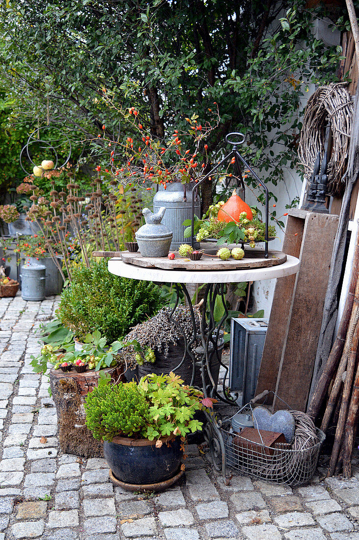 Autumn decoration in the courtyard with pumpkin, rose hips, hop vine, and chestnuts