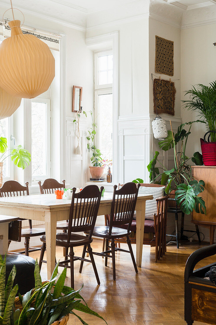 Sprossenstühle am Esstisch im Wohnraum mit Zimmerpflanzen