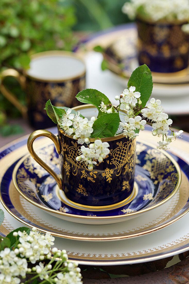 Blüten von Traubenkirsche in antiker Tasse