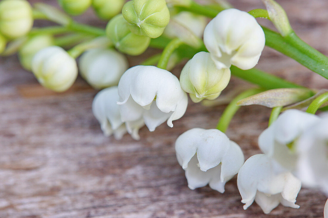 Lily-of-the-valley on wooden table