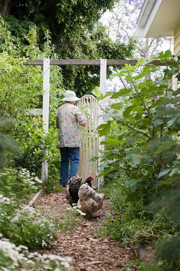 Older lady walking through garden gate and hens in cottage garden