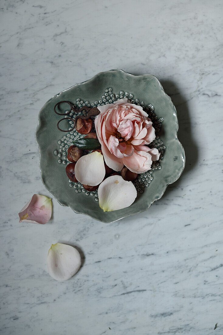 Rosenblüte in Schale mit Perlen