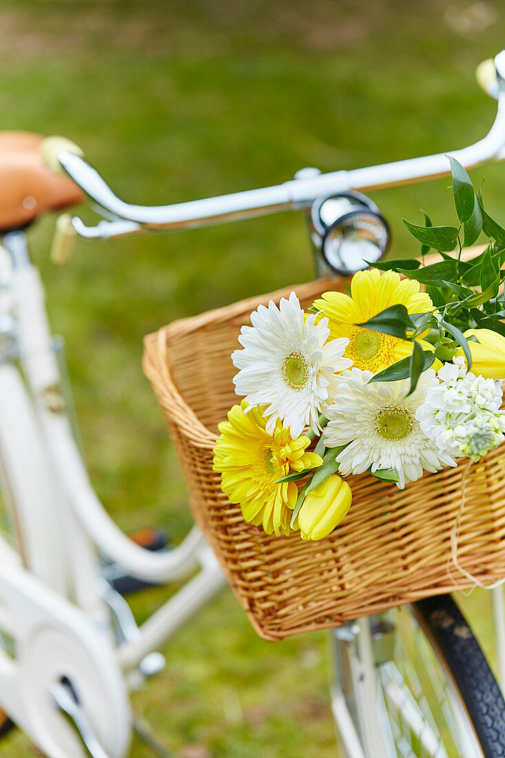 Weiße und gelbe Sommerblumen in Fahrradkorb