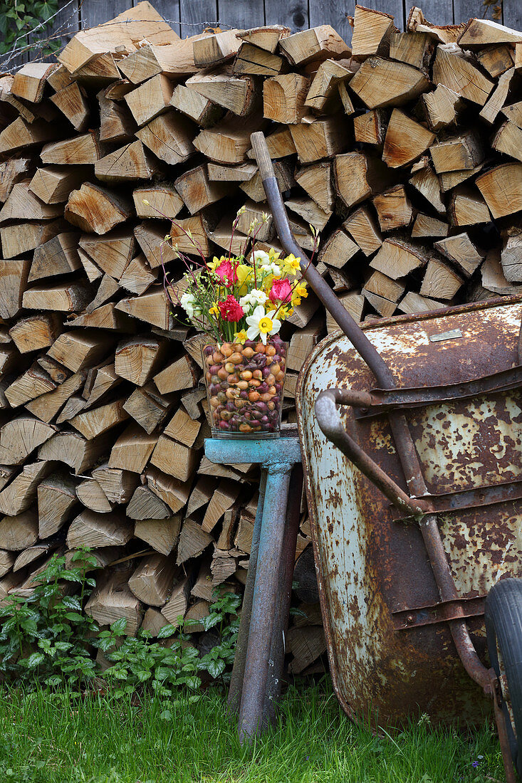 Colourful spring flowers and flower bulbs in glass vase in front of stacked firewood