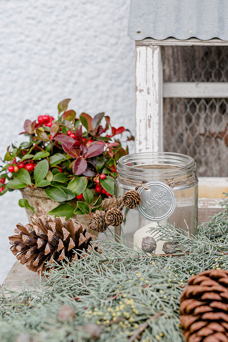 Winter decoration with Gaultheria, pinecones, lantern, and a cypress branch