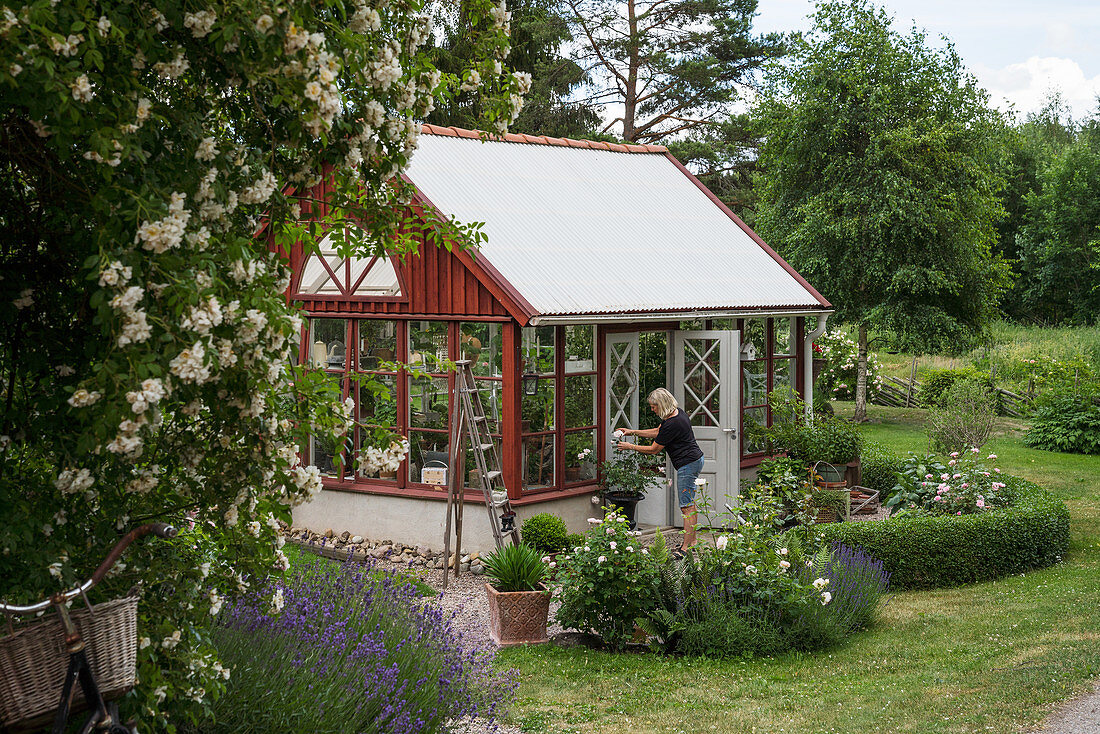 Frau am roten Gewächshaus im sommerlichen Garten