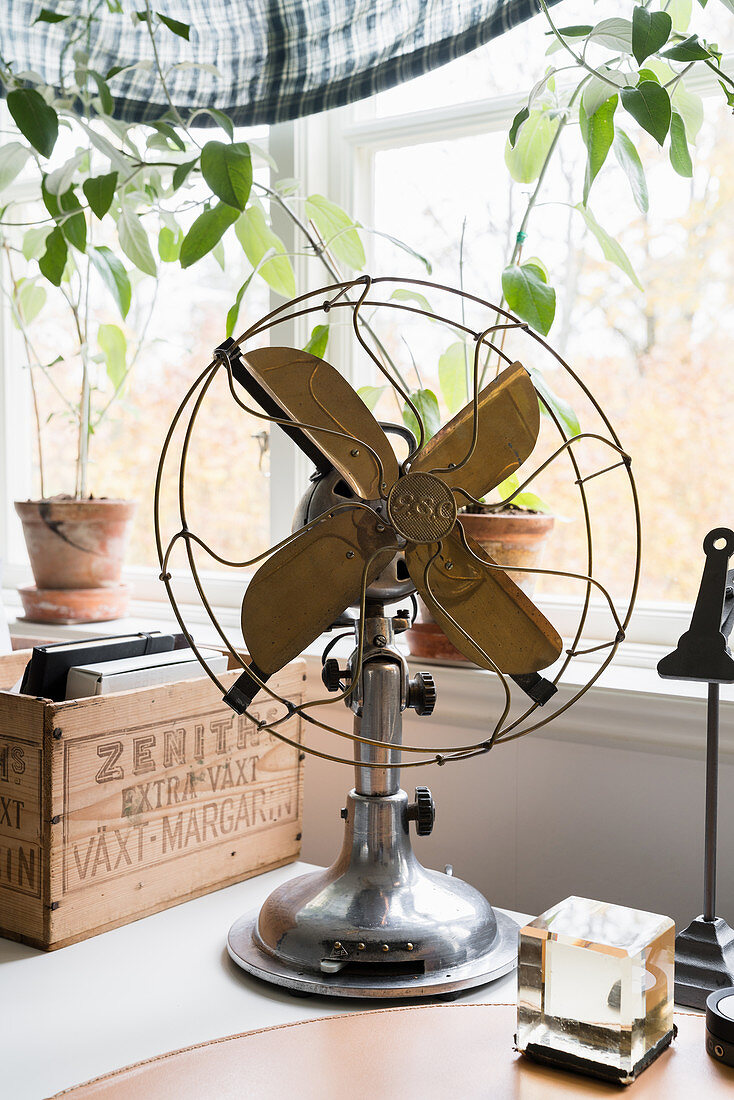 Old fan, wooden crate and climbing plant in front of window