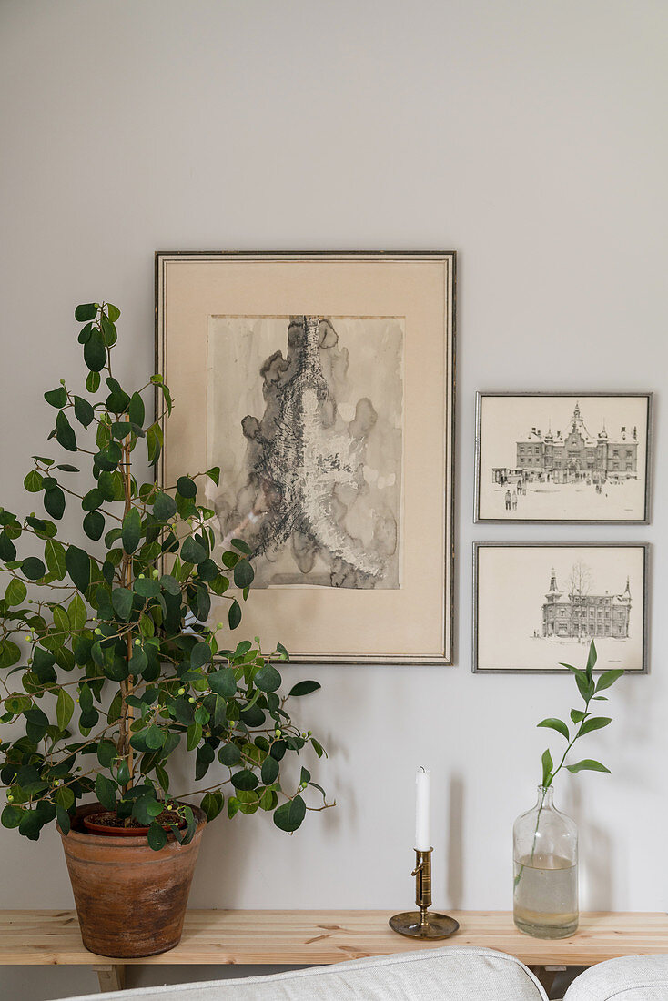 Zimmerpflanze auf schmaler Konsole, dahinter Kupferstiche an der Wand