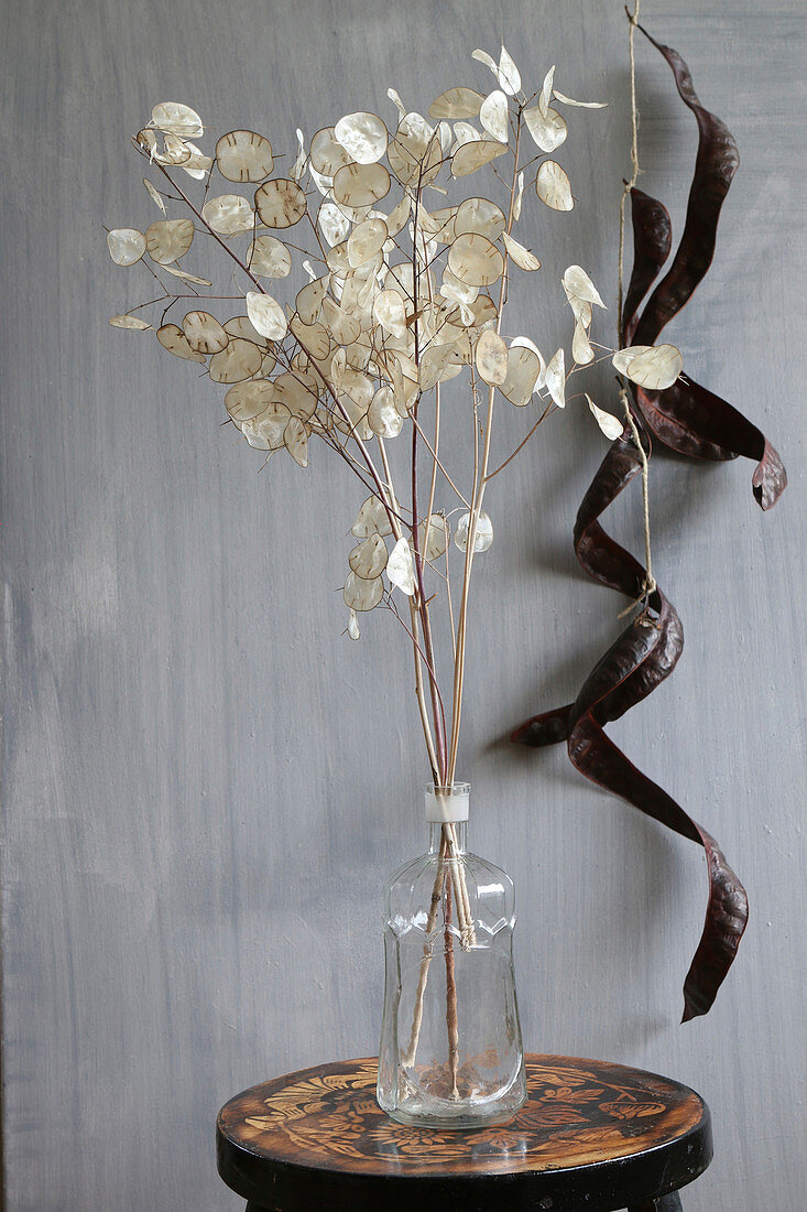 Bouquet of honesty in glass vase in front of wall decorated with carob pods