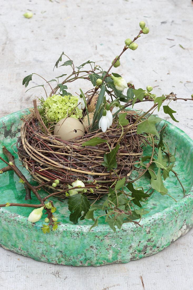 Osternest aus Weidenzweigen dekoriert mit Eiern, Blüten und Efeu
