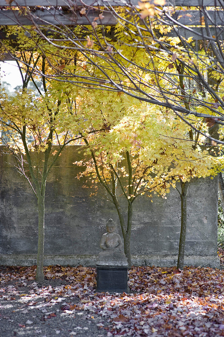 Buddha statue in front of concrete wall in autumnal garden