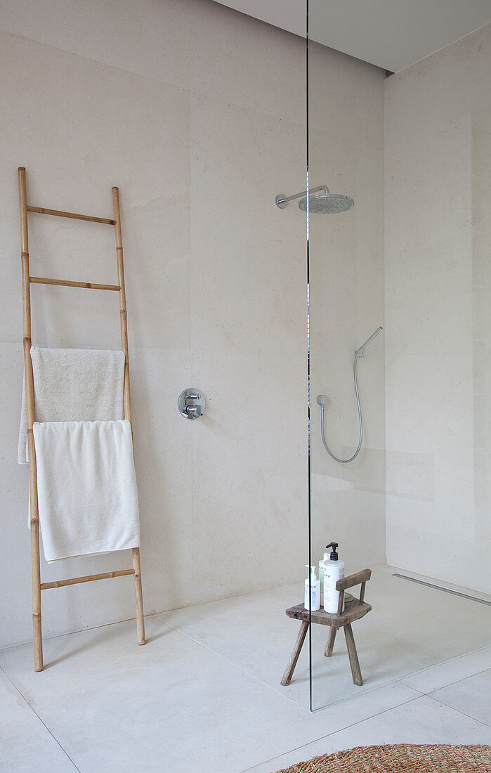 Ladder used as towel rack next to walk-in shower with glass screen