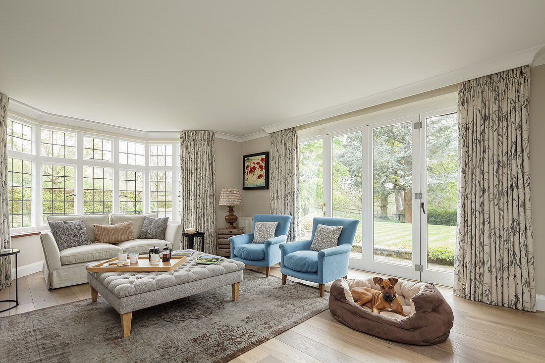 Sofa set and dog in dog basket in bright living room