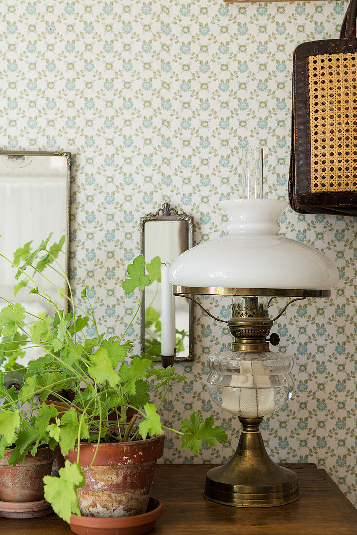 Oil lamp and houseplants on dresser