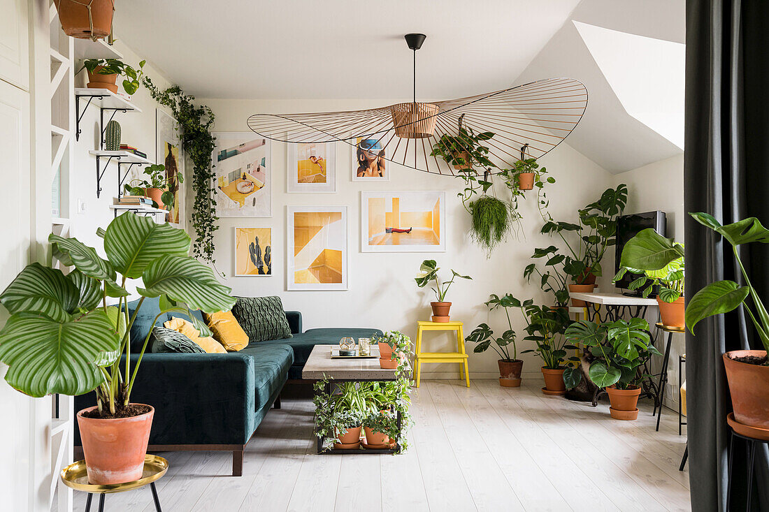 Viele Grünpflanzen, Sofa und Designerleuchte im Wohnzimmer