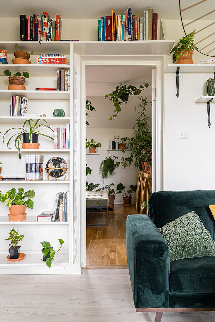 Shelves of houseplants and books next to and above doorway leading into kitchen