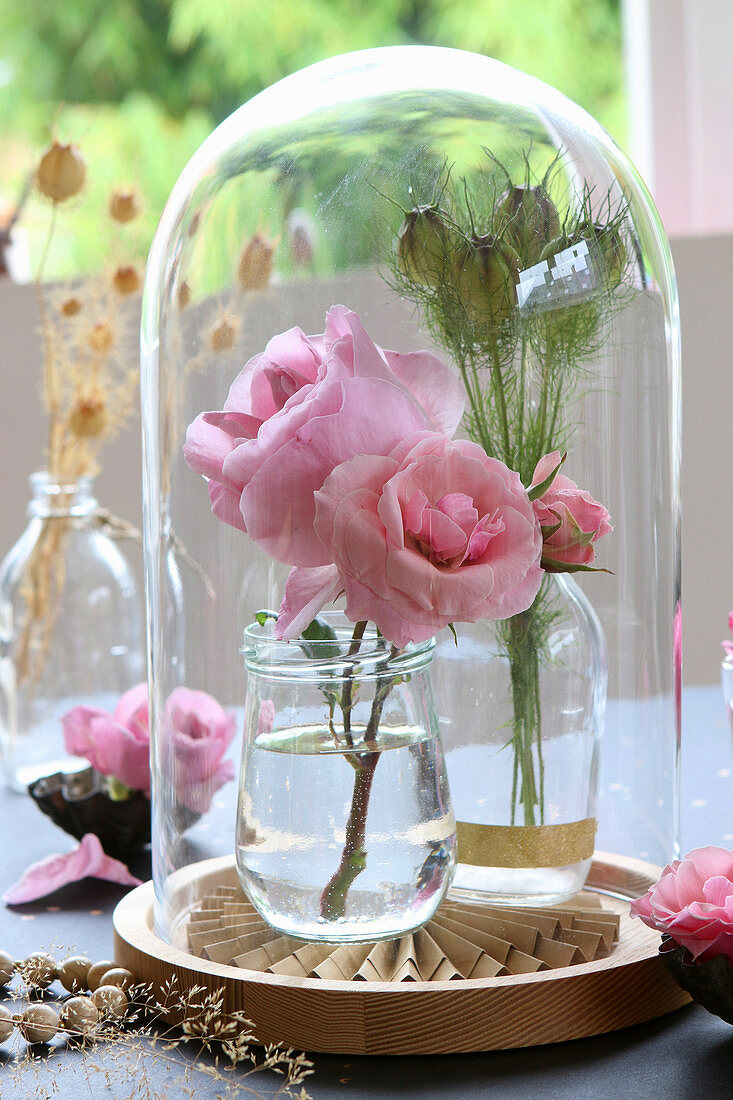 Roses and love-in-a-mist seed pods under glass cover