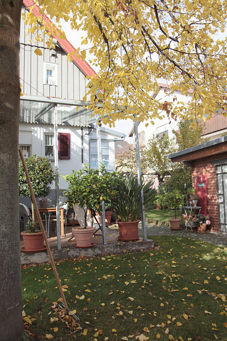 Autumn garden with a covered terrace, potted plants, and fallen leaves