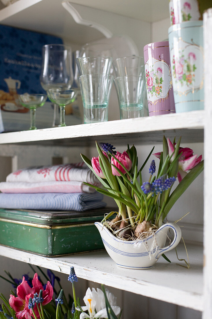 Frühling in der Küche mit Tulpen, Traubenhyazinthen und Netziris