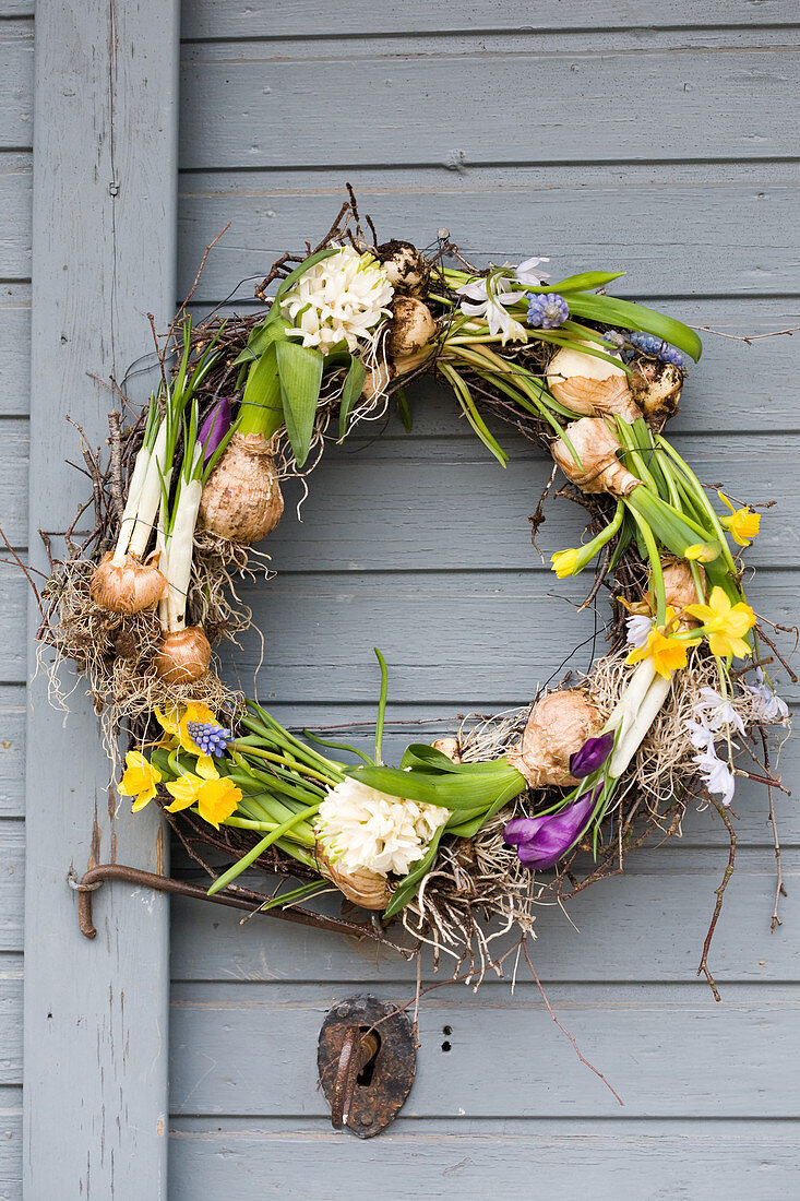 Wreath with grape hyacinths, hyacinths, narcissus, crocus and star-of-Bethlehem hung on door