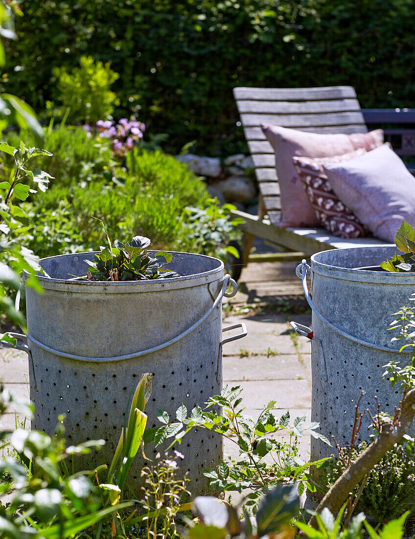 Zinc containers with plants on terrace