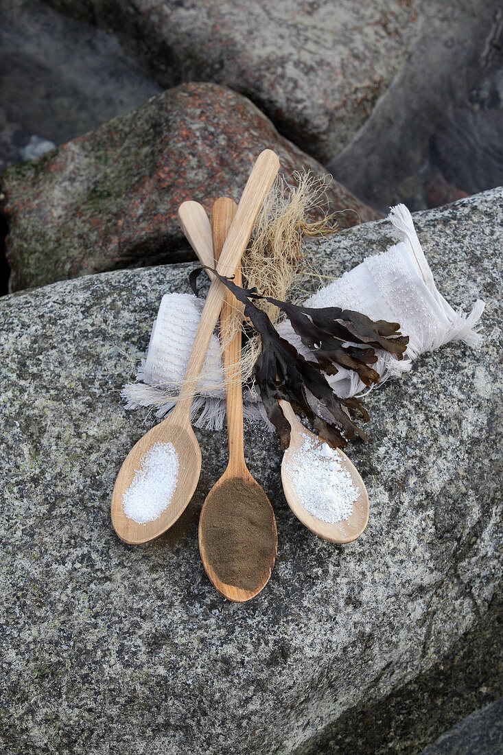 Three wooden spoons of salt and powdered algae on rocks