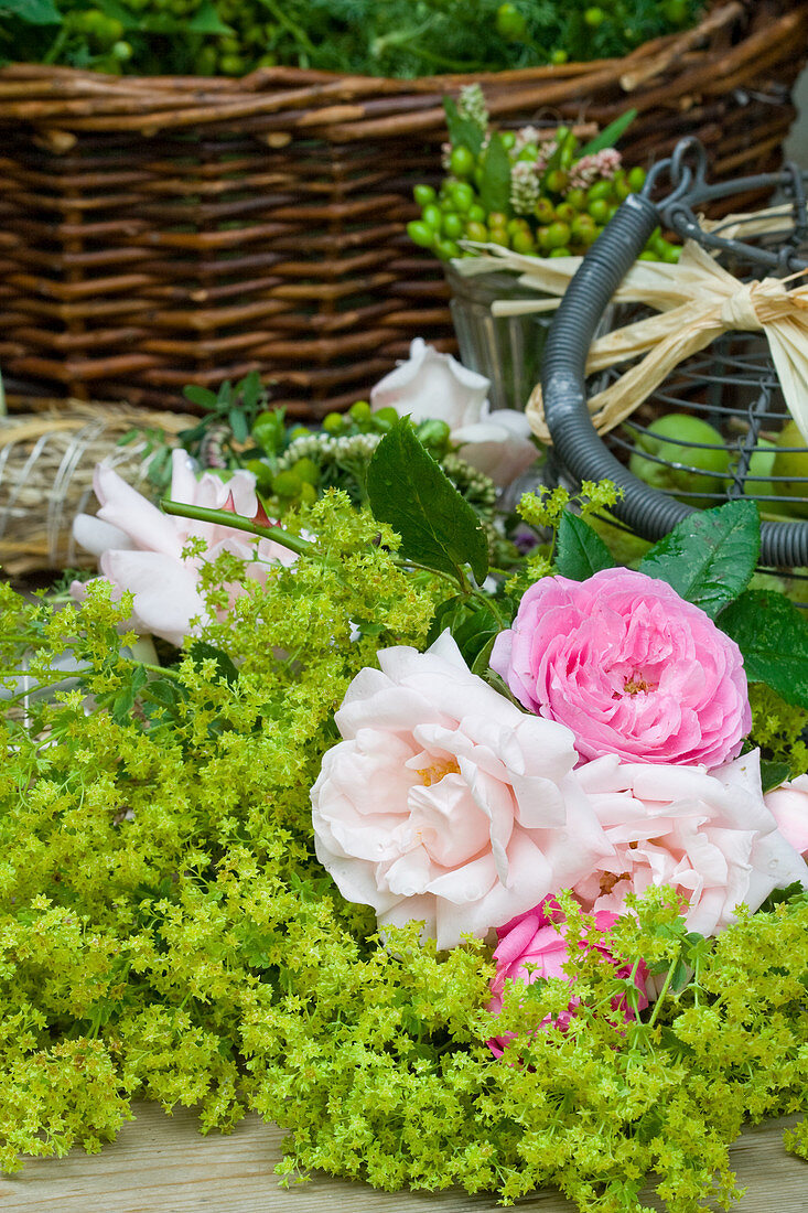 Materials for summer wreath: lady's mantle, roses