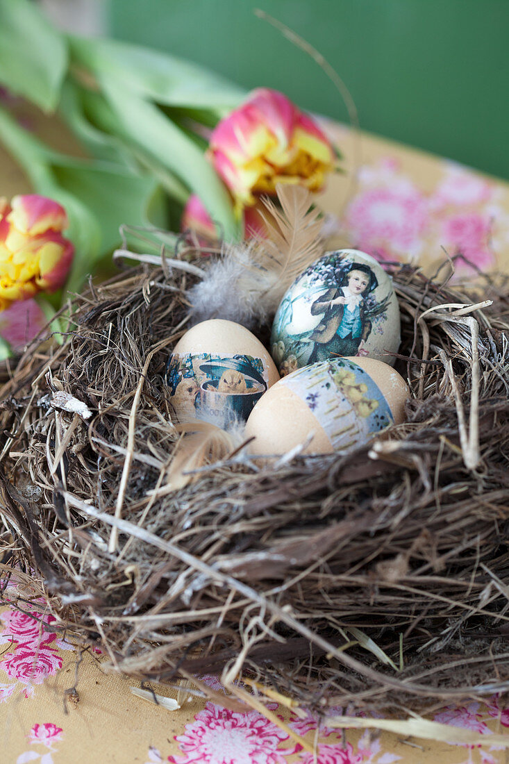 Decorated Easter eggs arranged in nest