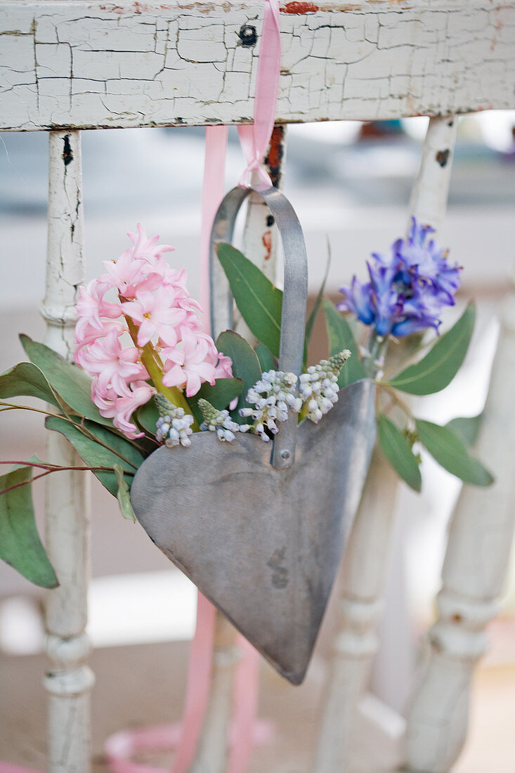 pink and grape hyacinths in a metal heart on a chair