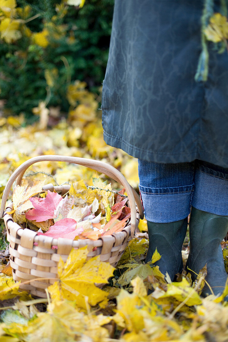 Frau im Herbstgarten neben Korb mit buntem Herbstlaub