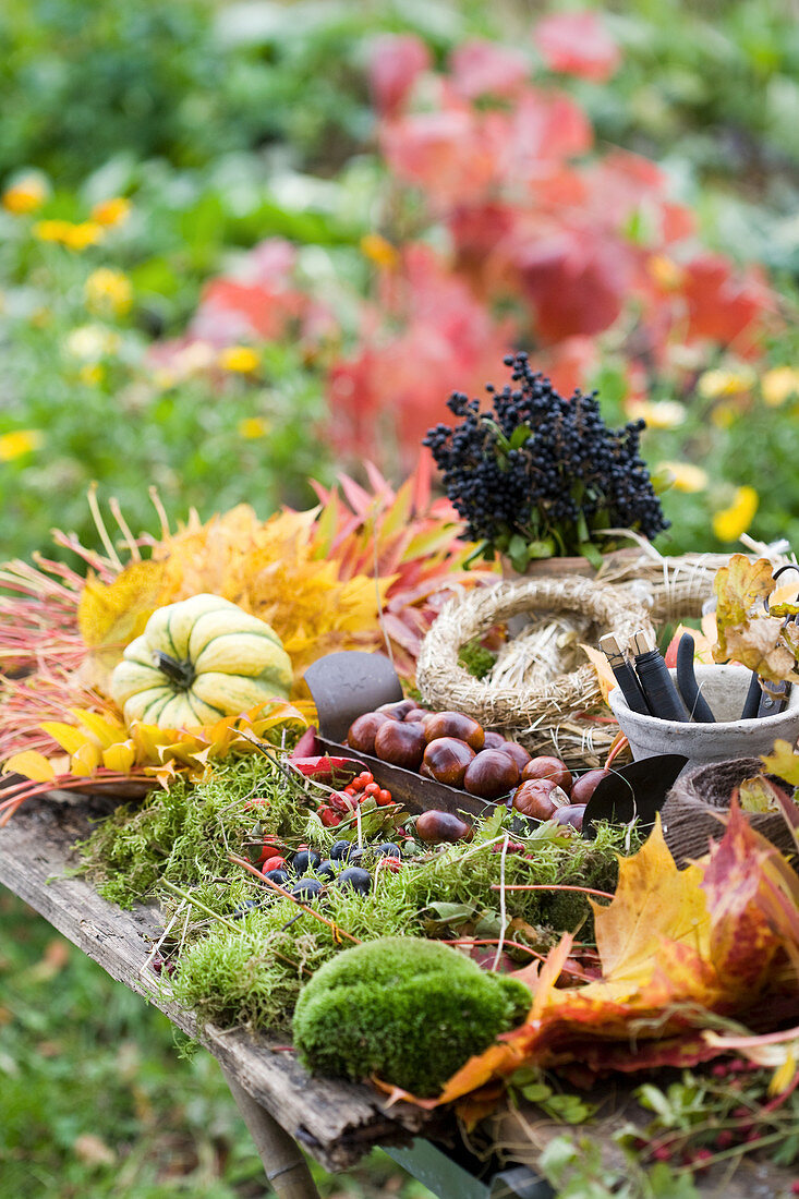 Tisch mit Moos, Herbstlaub, Kastanien, Beeren, Zierkürbis, Strohrömer und Bindematerial