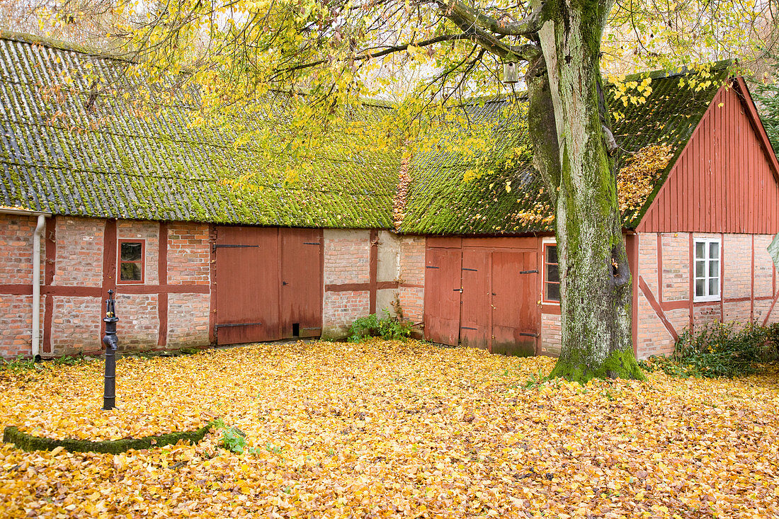 A farm in autumn