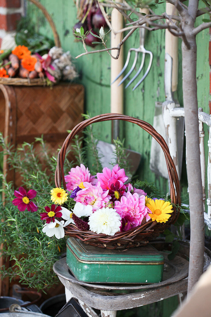 Basket with dahlia blossoms, marigolds