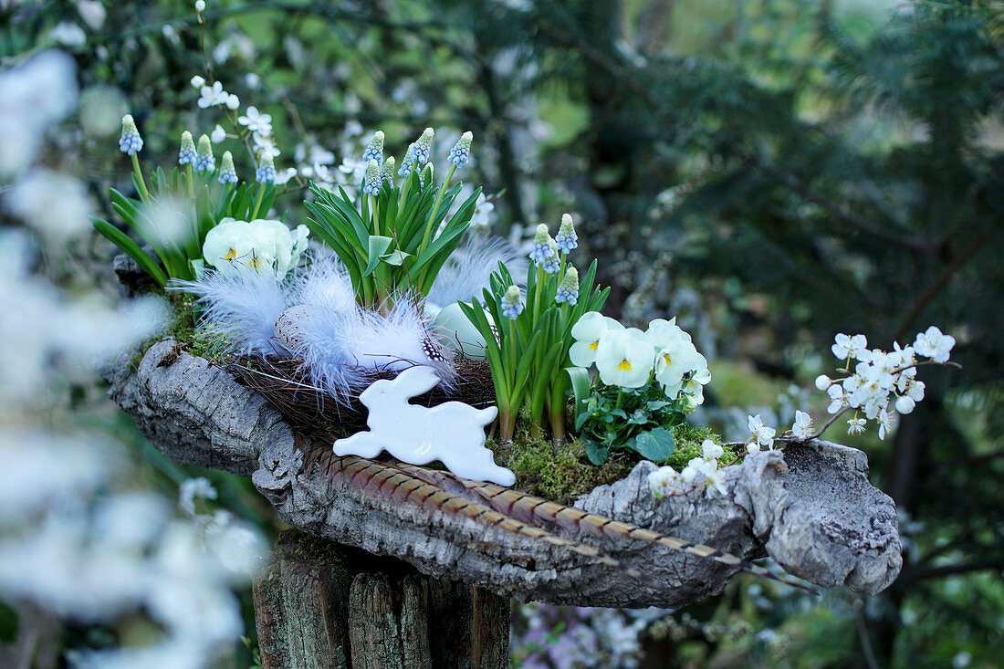 Grape hyacinths and horned violets with feathers and Easter bunny in bark