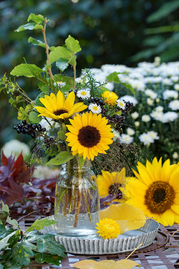 Late summer bouquet of sunflowers, privet berries, aster, twigs, and grasses